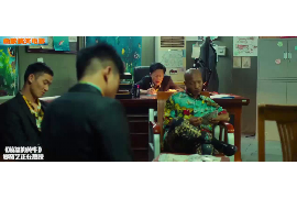 禹城为什么选择专业追讨公司来处理您的债务纠纷？